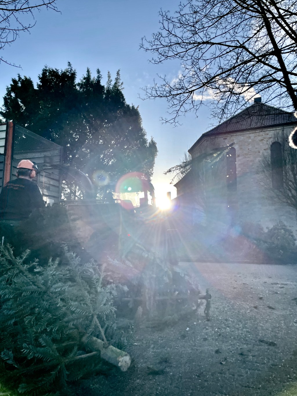 Tannenbaumaktion 2025